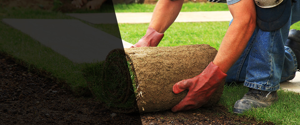 Sunnyvale Landscapers